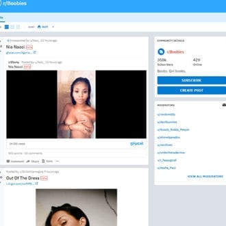 Boobies - reddit.comrBoobies
