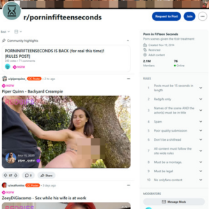 Porn In Fifteen Seconds
