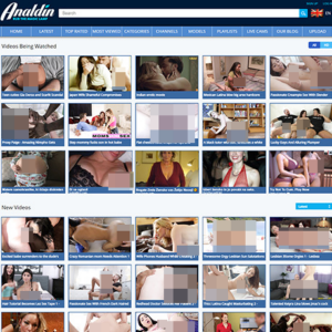 Analdin