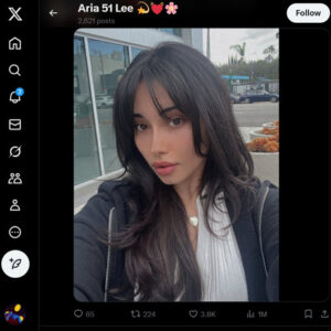 Aria Lee Twitter