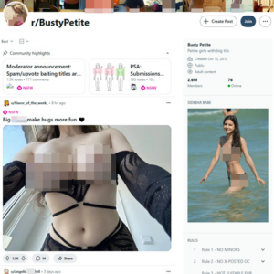 Reddit Busty Petite
