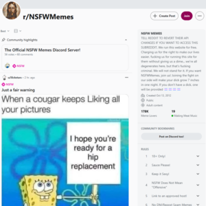 Reddit NSFW Memes