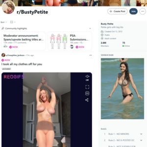 Reddit Busty Petite