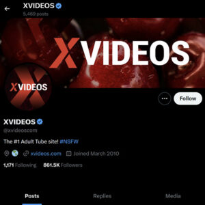 XVideos Twitter
