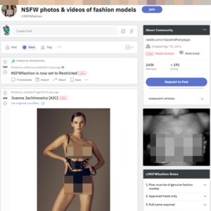 NSFW fashion