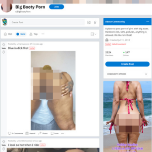 Big Booty Porn