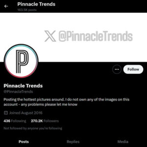 Pinnacle Trends