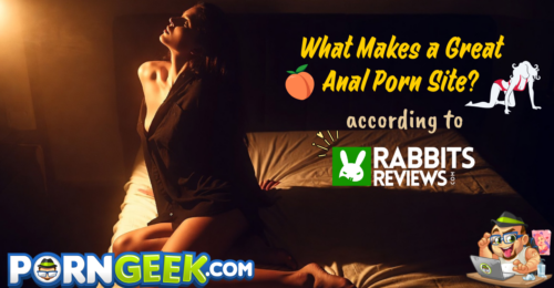 What Makes a Great Anal Porn Site (according to RabbitsReviews)?