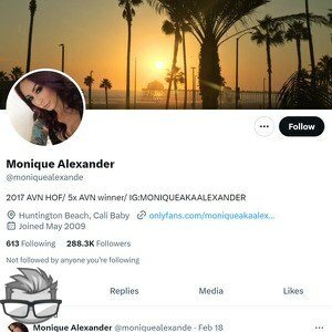 Monique Alexander Twitter - twitter.commoniquealexande