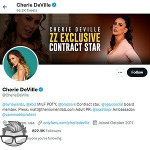 Cherie DeVille Twitter - twitter.comcheriedeville