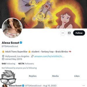 Alexa Scout Twitter (TS) - twitter.comtsalexascout