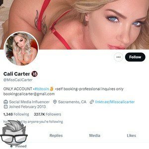 Cali Carter Twitter - twitter.commisscalicarter