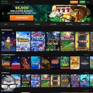 Wild Casino - wildcasino.ag