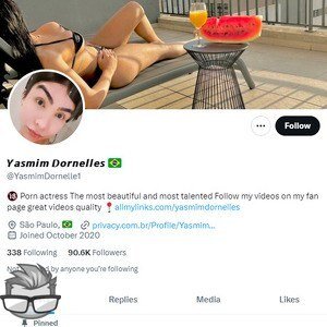 Yasmin Dornelles Twitter (TS) - twitter.comyasmimdornelle1