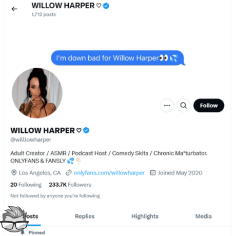 Willow Harper - x.comwilllowharper