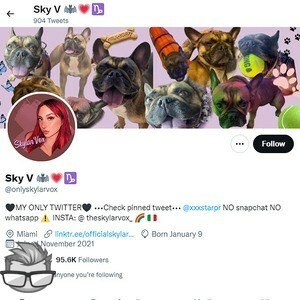 Skylar Vox Twitter - twitter.comonlyskylarvox