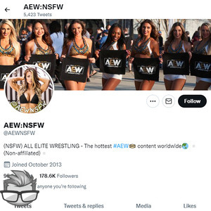 All Elite Wrestling