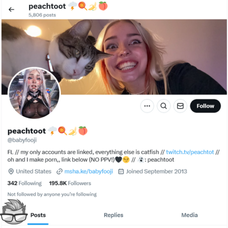BabyFooji