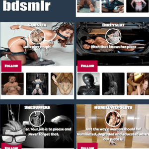 Bdsmlr
