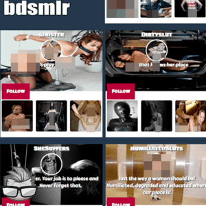 Bdsmlr