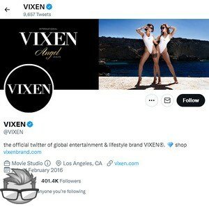 Vixen Twitter - twitter.comvixen