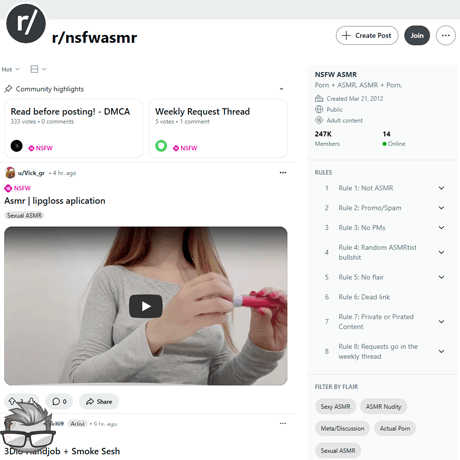 NSFW ASMR - reddit.comrnsfwasmr