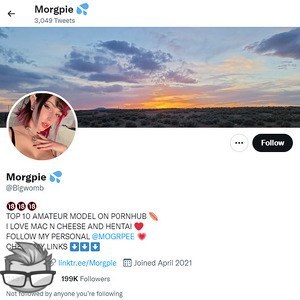 Morgpie Twitter