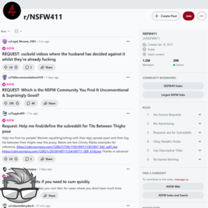 NSFW411