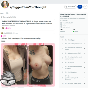 Reddit Bigger Than You Thought