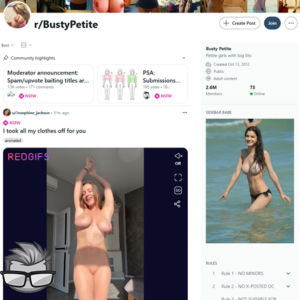 Reddit Busty Petite