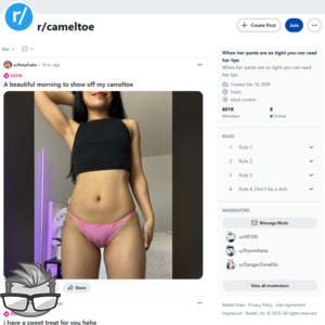 Reddit Cameltoe
