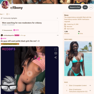 Reddit Ebony Porn