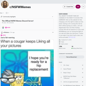 Reddit NSFW Memes