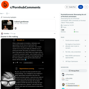Reddit Pornhub Comments