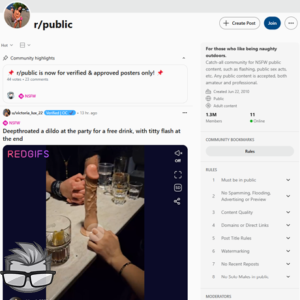 Reddit Public