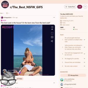 Reddit The Best NSFW GIFS