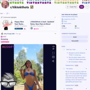 Reddit TikTokThots