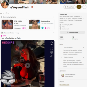 Reddit VoyeurFlash