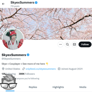 SkyexSummers