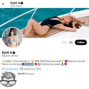 Sybil A Twitter