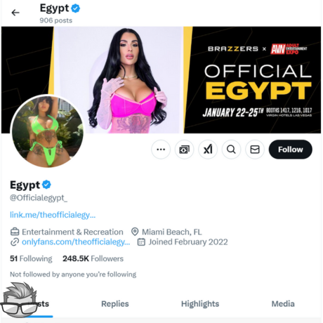 TheOfficialEgypt