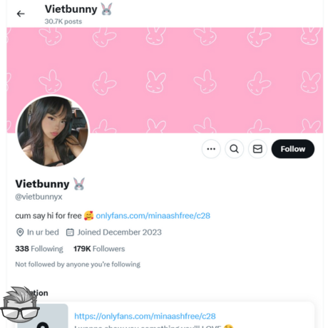 VietBunny